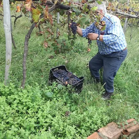 Diffuso Borgo Dei Greci 3* Buonvicino