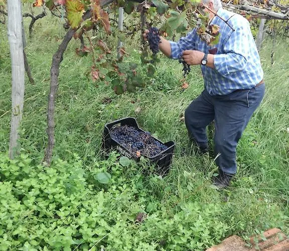 Diffuso Borgo Dei Greci 3* Buonvicino